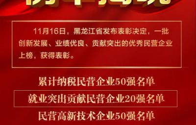 喜报|龙江赞美优良民营企业 amjs澳金沙门收成两项殊荣